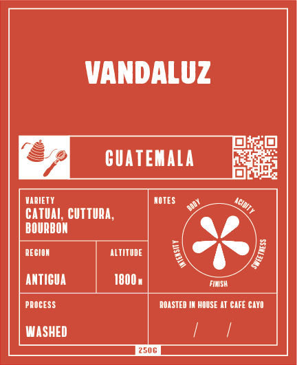 VANDALUZ - LAVÉ